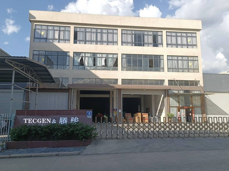 China FUJIAN TECGEN POWER CO., LTD. company profile