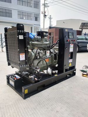 13KVA-375KVA Prime Ricardo Diesel Generators