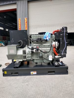 13KVA-375KVA Prime Ricardo Diesel Generators