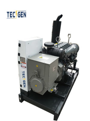 50kVA Air Cooled Diesel Engine Generator With 6 Cylinder Aircooling Diesel Engine